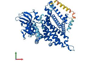 AlphaFold protein structure predicition of Human Recombinant ACOXL Protein, UniprotID Q9NUZ1 (ACOXL Protein (AA 1-547) (His tag))