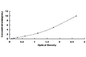 Discoidin Domain Receptor tyrosine Kinase 1 (DDR1) ELISA Kit