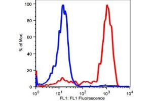 Flow Cytometry (FACS) image for anti-Integrin alpha M (ITGAM) antibody (FITC) (ABIN2704158) (CD11b antibody  (FITC))