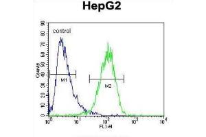 Flow Cytometry (FACS) image for anti-Hexosaminidase A (HEXA) antibody (ABIN3002900)