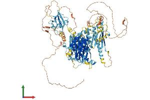 AlphaFold protein structure predicition of Mouse Recombinant Intu Protein, UniprotID Q059U7
