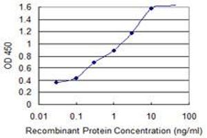 Detection limit for recombinant GST tagged ATP5E is 0. (ATP5E antibody  (AA 1-51))