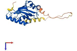 UBE2S Protein (AA 1-222) (His tag)
