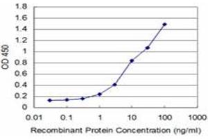 Detection limit for recombinant GST tagged HOXA5 is approximately 0. (HOXA5 antibody  (AA 171-270))
