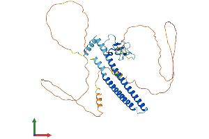 AlphaFold protein structure predicition of Human Recombinant ING3 Protein, UniprotID Q9NXR8