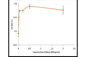 MIF Protein