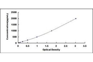 Typical standard curve (GFAP ELISA Kit)