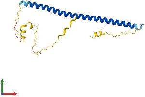 AlphaFold protein structure predicition of Human Recombinant JDP2 Protein, UniprotID Q8WYK2 (JDP2 Protein (AA 1-163) (His tag))