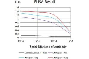Black line: Control Antigen (100 ng),Purple line: Antigen (10 ng), Blue line: Antigen (50 ng), Red line:Antigen (100 ng) (LY75/DEC-205 antibody  (AA 1520-1666))