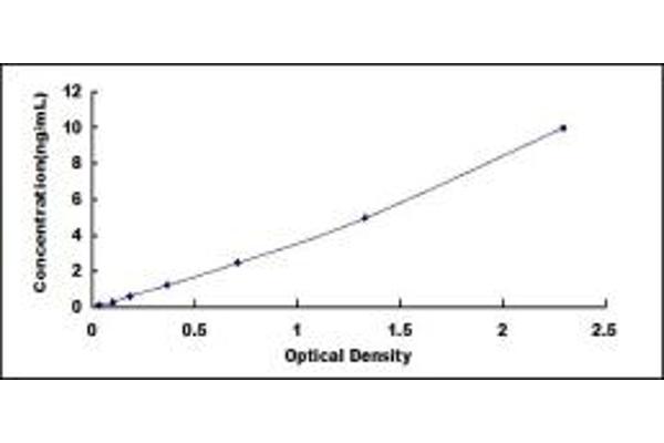 LCP1 ELISA Kit