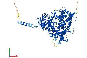 AlphaFold protein structure predicition of Mouse Recombinant Cyp1a1 Protein, UniprotID P00184 (CYP1A1 Protein (AA 1-524) (His tag))