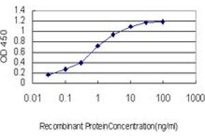 Detection limit for recombinant GST tagged ACAA2 is approximately 0. (ACAA2 antibody  (AA 151-260))