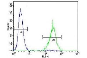 SOX1 antibody flow cytometric analysis of NCI-H460 cells (right histogram) compared to a negative control (left histogram). (SOX1 antibody  (AA 47-76))