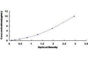 Protein Kinase C, beta 1 (Pkc beta 1) ELISA Kit