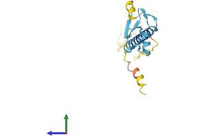 AlphaFold protein structure predicition of Mouse Recombinant Rnf122 Protein, UniprotID Q8BP31