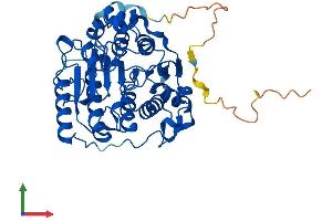 AlphaFold protein structure predicition of Human Recombinant HDAC3 Protein, UniprotID O15379 (HDAC3 Protein (AA 1-428) (His tag))