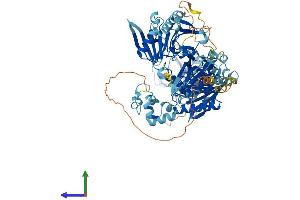 AlphaFold protein structure predicition of Human Recombinant VILL Protein, UniprotID O15195 (VILL Protein (AA 1-856) (His tag))