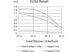 Black line: Control Antigen (100 ng),Purple line: Antigen (10 ng), Blue line: Antigen (50 ng), Red line:Antigen (100 ng) (CHRM3 antibody)