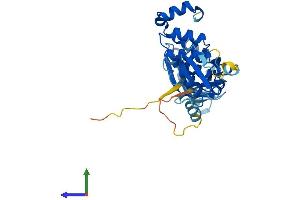 AlphaFold protein structure predicition of Mouse Recombinant Tdpoz5 Protein, UniprotID Q6YCH1