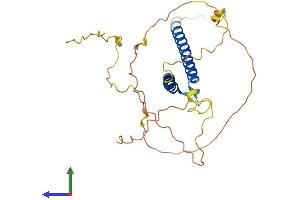 AlphaFold protein structure predicition of Human Recombinant OLIG1 Protein, UniprotID Q8TAK6