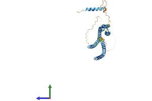 AlphaFold protein structure predicition of Mouse Recombinant Stx18 Protein, UniprotID Q8VDS8 (Syntaxin 18 Protein (STX18) (AA 1-334) (His tag))
