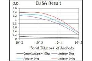 ELISA image for anti-Heat Shock Transcription Factor 4 (HSF4) antibody (ABIN1107497) (HSF4 antibody)