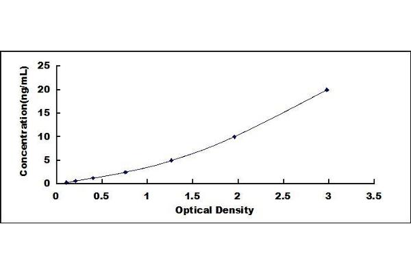 HMOX1 ELISA Kit