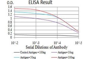 Black line: Control Antigen (100 ng), Purple line: Antigen(10 ng), Blue line: Antigen (50 ng), Red line: Antigen (100 ng), (TRKB antibody  (AA 207-339))