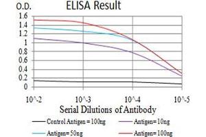 Black line: Control Antigen (100 ng), Purple line: Antigen(10 ng), Blue line: Antigen (50 ng), Red line: Antigen (100 ng), (TRKB antibody  (AA 207-339))