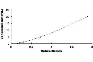 Histone Deacetylase 6 (HDAC6) ELISA Kit