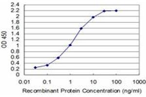 Detection limit for recombinant GST tagged T is approximately 0. (T Brachyury Protein (AA 222-320) antibody)