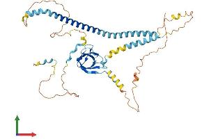 AlphaFold protein structure predicition of Mouse Recombinant Pex13 Protein, UniprotID Q9D0K1 (PEX13 Protein (AA 1-405) (His tag))