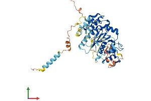 AlphaFold protein structure predicition of Mouse Recombinant Gcnt7 Protein, UniprotID Q3V3K7