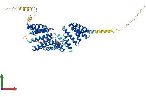 AlphaFold protein structure predicition of Mouse Recombinant Ttc23 Protein, UniprotID Q8CHY7 (TTC23 Protein (AA 1-488) (His tag))