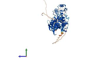 AlphaFold protein structure predicition of Human Recombinant MAPK10 Protein, UniprotID P53779 (MAPK10 Protein (AA 1-464) (His tag))