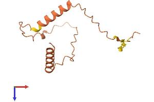AlphaFold protein structure predicition of Human Recombinant CIRBP-AS1 Protein, UniprotID Q8TBR5 (CIRBP-AS1 Protein (AA 1-109) (His tag))
