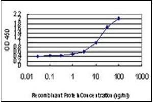 ELISA image for anti-Distal-Less Homeobox Protein 2 (DLX2) antibody (ABIN781967) (DLX2 antibody)