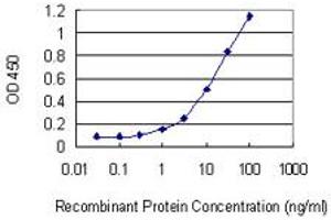 Detection limit for recombinant GST tagged PARD3 is 0. (PARD3 antibody  (AA 181-290))