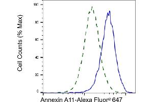 Validation of Annexin A11 knockdown using flow cytometry. (Annexin A11 antibody)