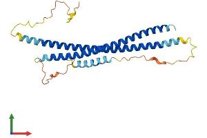 AlphaFold protein structure predicition of Human Recombinant SNAP29 Protein, UniprotID O95721 (SNAP29 Protein (AA 1-258) (His tag))