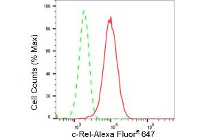 Flow cytometric analysis of c-Rel expression in HepG2 cells using c-Rel antibody (ABIN7800166), 1:2,000).