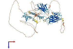 AlphaFold protein structure predicition of Human Recombinant SYTL5 Protein, UniprotID Q8TDW5 (SYTL5 Protein (AA 1-730) (His tag))