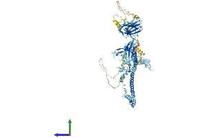 Protein Structure (PS) image for Tripartite Motif Containing 36 (TRIM36) (AA 1-728) protein (His tag) (ABIN7544798)