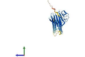 Protein Structure (PS) image for Tripartite Motif Containing 16-Like (TRIM16L) (AA 1-348) protein (His tag) (ABIN7544551)