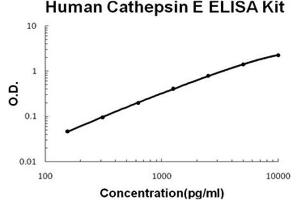 Human Cathepsin E PicoKine ELISA Kit standard curve (Cathepsin E ELISA Kit)
