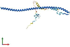 Protein Structure (PS) image for Zinc Finger, C4H2 Domain Containing (ZC4H2) (AA 1-224) protein (His tag) (ABIN7545288)