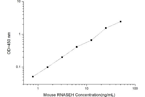 RNASEH ELISA Kit