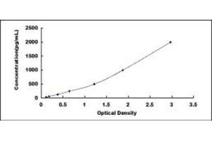 Typical standard curve (FRZB ELISA Kit)