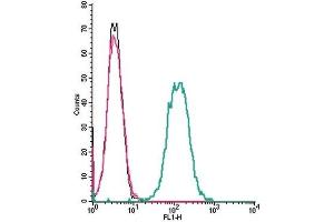 Cell surface detection of NMUR1 by indirect flow cytometry in live intact mouse J774 macrophage cell line: (black line) Cells. (NMUR1 antibody  (Extracellular, Loop 3))