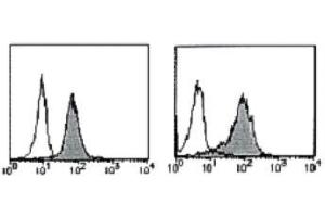 Flow Cytometry (FACS) image for anti-B-Cell CLL/lymphoma 2 (BCL2) antibody (PE) (ABIN2853587) (Bcl-2 antibody  (PE))